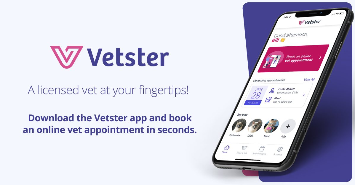 Vetster Access to a Licensed Vet 24/7