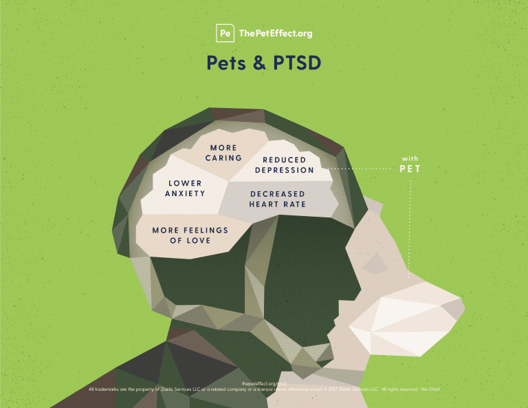 Pets and PTSD
